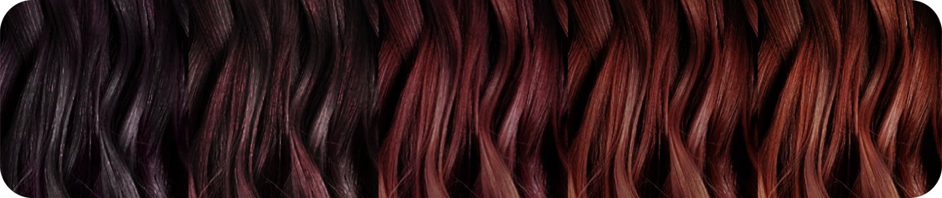 Les Rouges - Violines